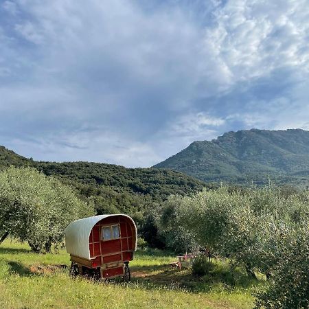 Le Camping De Cucugnan 호텔 외부 사진